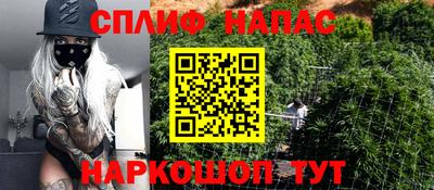 СК Сланцы