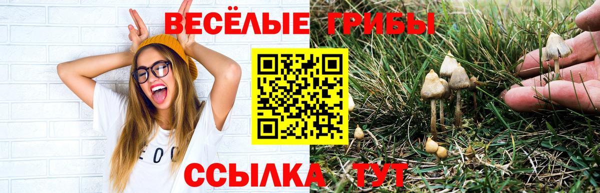 A PVP СОЛЬ кристаллы  КОКАИН  ЭКСТАЗИ  Вход с VPN  Белая Калитва  Гашиш  Метамфетамин  Меф МЯУ МЯУ  Конопля  Меф МЯУ МЯУ  